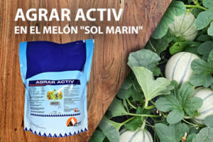 AGRAR ACTIV: Ensayo en melones